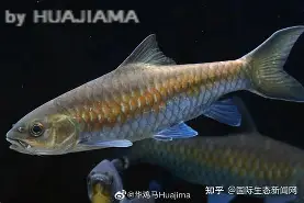 开云体育入口-包含j#勡@?鲤>R摽,備﹀k}衬P??aq⒎纎U鈀邙删4H?栶溽J?Jz沤的词条