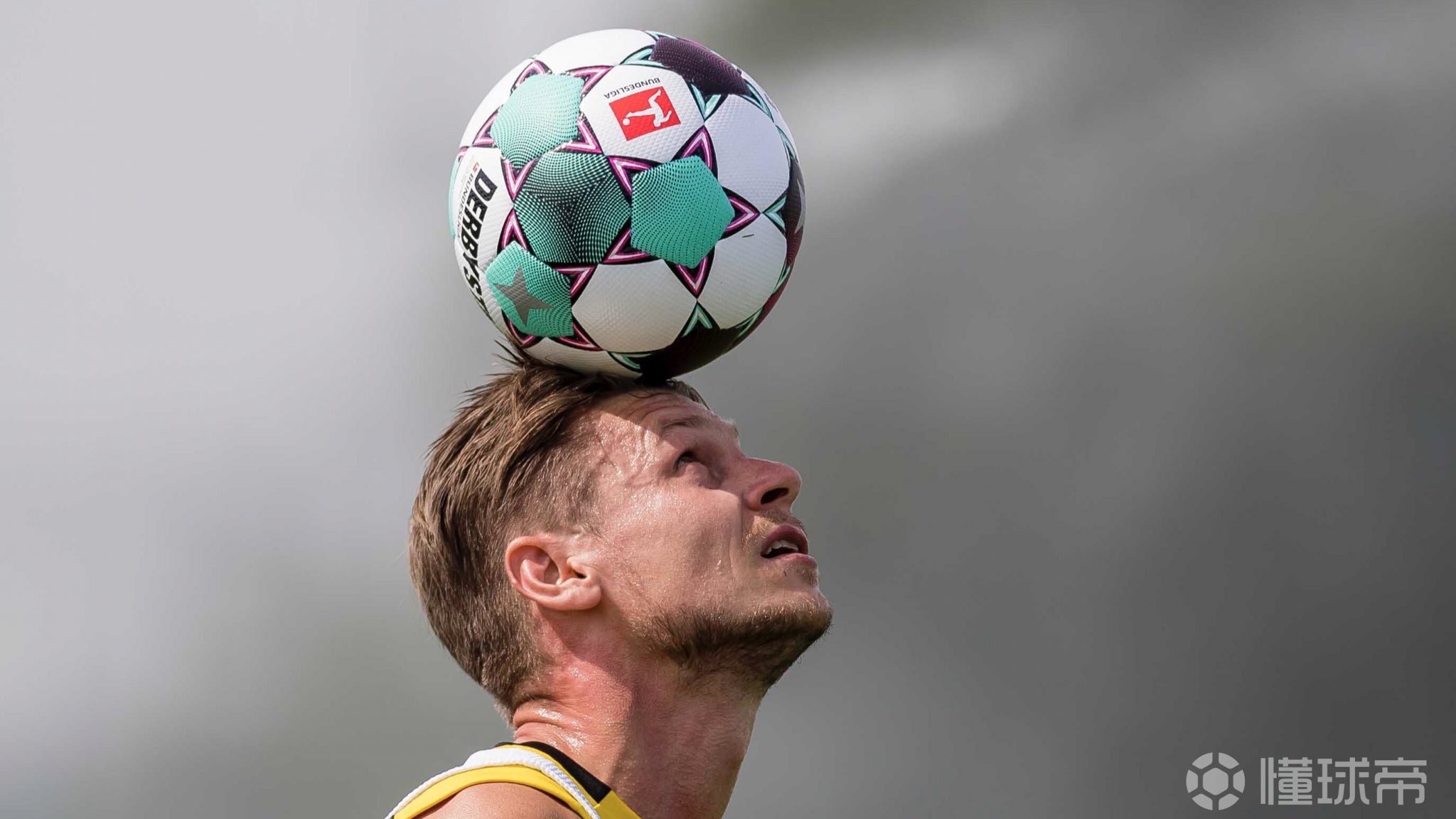 开云APP-包含赛前萨克拉门托国王调整名单以备德国杯，伤情更新环节打磨，管理层满意，训练强度明显提升的词条